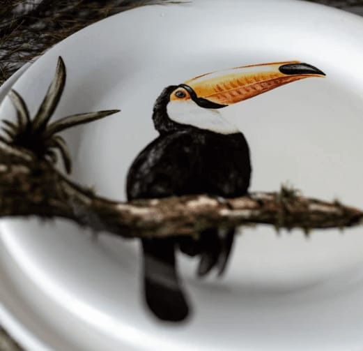 Hand-painted toucan plate, example piece from the ceramic painting experience
