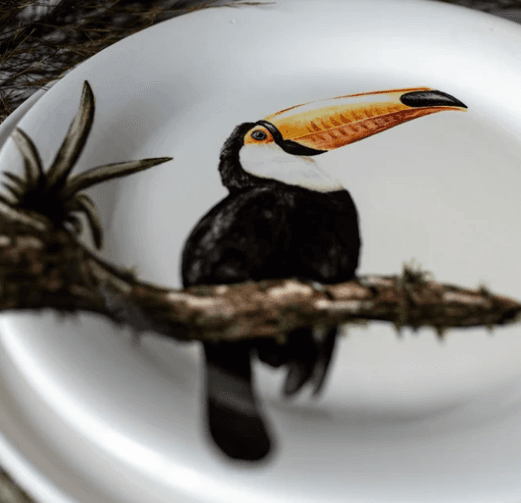 Plato con tucán pintado a mano, ejemplo de pieza de la experiencia de cerámica